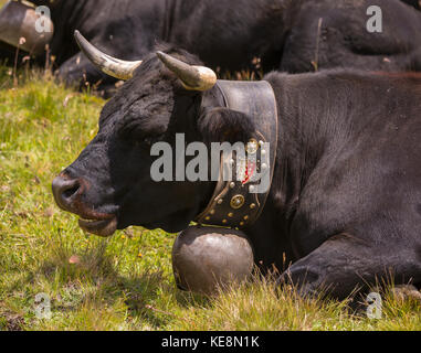 Moiry Tal, Schweiz - Walliser Alpen im Kanton Wallis. Stockfoto