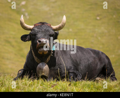 Moiry Tal, Schweiz - Walliser Alpen im Kanton Wallis. Stockfoto