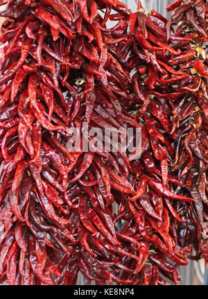 Strauß roter Chili peppers hängen draußen auf den Markt Stockfoto