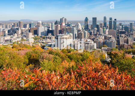 Montreal, Kanada - 18. Oktober 2017: Skyline von Montreal mit Herbstfarben vom Mont Royal Belvedere kondiaronk Stockfoto