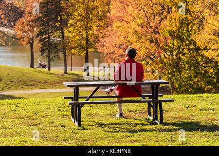 Montreal, Kanada - 18. Oktober 2017: Ein Mann genießt einen warmen Herbsttag im Mont Royal Park Stockfoto