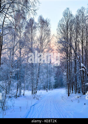 Sanfter Winter rosa Morgen auf einem verschneiten Wald Straße mit Fußspuren und Ski auf dem Schnee geht in die Ferne - Schöne weiche Farben des Winters Stockfoto