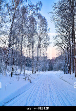 Sanfter Winter rosa Morgen auf einem verschneiten Wald Straße mit Fußspuren und Ski auf dem Schnee geht in die Ferne - Schöne weiche Farben des Winters Stockfoto