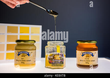 Drei Gläser Honig, Satz und runny mit verschiedenen Farben. Farbkarte im Hintergrund Stockfoto