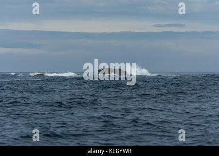 Kessel unten, die Manacles Rocks, Cornwall Stockfoto