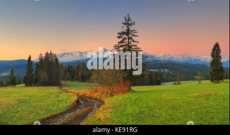 Morgen im grünen Tal. grüne Tal auf verschneiten Bergen Hintergrund in der Morgendämmerung. berühmten touristik Ort in Polen Zakopane. Stockfoto