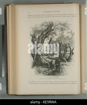 Der Garten Gethsemane, franziskanischen Mönchen unter den alten Olivenbäumen, und einen arabischen Gärtner bei der Arbeit (Nypl b 10607452 80305) Stockfoto