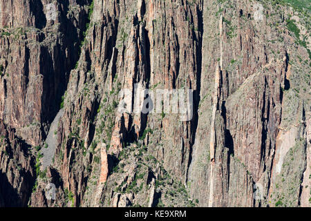 In der Nähe von Canyon Wand zeigen ausgesetzt präkambrischen Gneis, Schiefer und pegmatite Deiche, schwarze Schlucht des Gunnison National Park, Colorado, USA