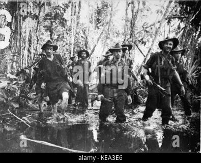 013971 2 7 Cav in Sumpf Buna Stockfoto