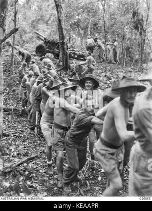 AWM 026855 25 Pfünder in Position in der Nähe von Uberi gezogen Stockfoto