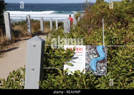 'Vorsicht Vorsicht vor Schlangen' auf der Spur neben Maroubra Strand warnt vor Red-bellied schwarze Schlangen. Stockfoto