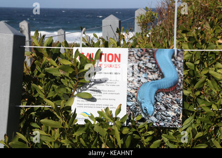 'Vorsicht Vorsicht vor Schlangen' auf der Spur neben Maroubra Strand warnt vor Red-bellied schwarze Schlangen. Stockfoto