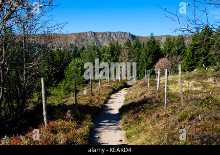 Tracking Pfad in den Vogesen in Franken ein Herbst Stockfoto