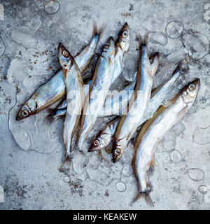 Frische Fische fangen shishamo voll Eier. shishamo Fisch ist Fisch für die japanische Küche kochen Tempura. Frische shishamo Fisch lockt Käufer an der frischen Stockfoto