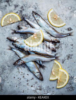 Frische Fische fangen shishamo voll Eier. shishamo Fisch ist Fisch für die japanische Küche kochen Tempura. Frische shishamo Fisch lockt Käufer an der frischen Stockfoto