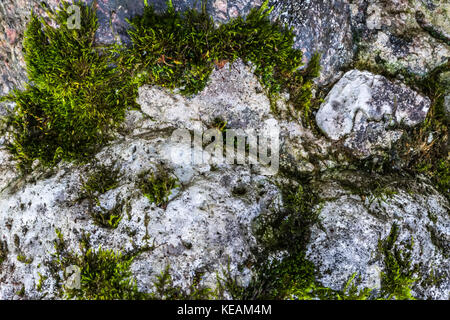 Strukturierte alte Granitwand: Ein natürlicher abstrakter Hintergrund. Granitstein-Textur, Nahbild, Tapete und Textur für das Rendern geeignet Stockfoto