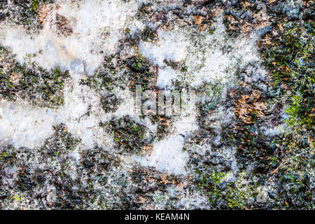 Strukturierte alte Granitwand: Ein natürlicher abstrakter Hintergrund. Granitstein-Textur, Nahbild, Tapete und Textur für das Rendern geeignet Stockfoto