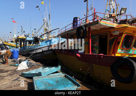 Mirissa Fischereihafen Südprovinz Sri Lanka Stockfoto