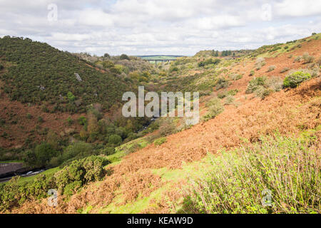 Blick nach Norden vom Meldon Reservoir Dam, hinunter das Tal des West Okement River und mit Meldon Viaduct (1874) in der Ferne sichtbar. Stockfoto