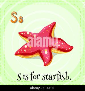 Flash Karte Brief s ist für den Seestern Stock Vektor