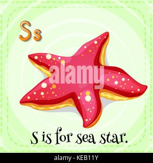 Flashcard Buchstabe s ist das Sea Star Stock Vektor