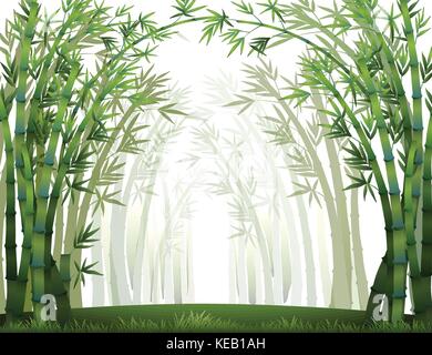 Bambuswald, wenn es voller Nebel Stock Vektor