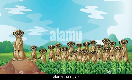Gruppe von Erdmännchen stehend in das Feld Stock Vektor