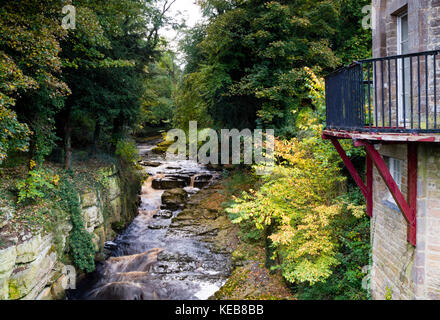 Der Fluss Greta von der Molkerei Brücke im Herbst, Rokeby, Teesdale, County Durham, UK Stockfoto