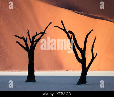 Tot Akazien und roten Dünen von Deadvlei im Namib-Naukluft-Park, Namibia Stockfoto