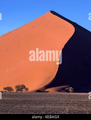 Big Daddy Dünen von Sossusvlei am Morgen, Namib-Naukluft Park, Namibia Stockfoto