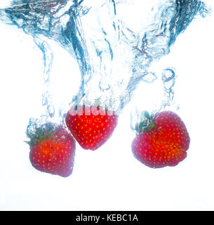 Erdbeeren in- und Spritzwasser fallen, weißer Hintergrund, close-up Stockfoto