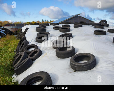 Große Haufen von silage als Futtermittel in Reifen aus Gummi und Kunststoff weiß auf der Farm im Norden Deutschlands. Stockfoto