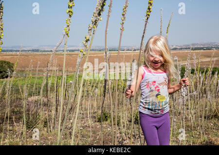 Junge Mädchen von 4 spielt in einem Feld der Blüte Meer blausterne, (drimia maritima). in Israel fotografiert, Herbst Oktober Stockfoto