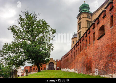 Krakau, Polen - Juni, 2012: Mauern von Schloss Wawel Stockfoto