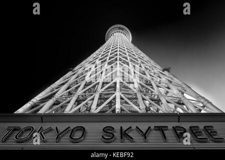 Die Tokyo skytree Wahrzeichen, dem höchsten frei stehenden Sendemastes in der Welt und die höchsten Gebäude in Japan auf 634 m Stockfoto