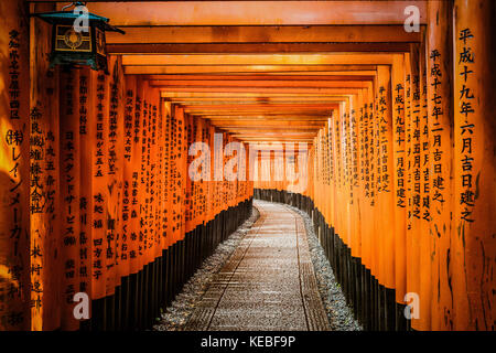 Einige der 10.000+ tori Gates im Fushimi Inari Schrein in Kyoto, Japan Stockfoto