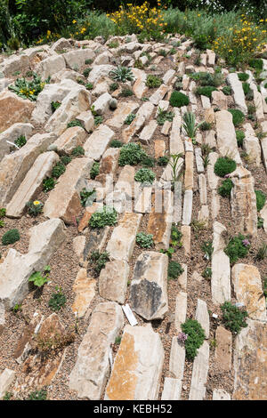 Rock Garden, Denver Botanic Gardens, Denver, Colorado, USA Stockfoto