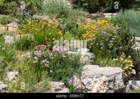 Rock Garden, Denver Botanic Gardens, Denver, Colorado, USA Stockfoto