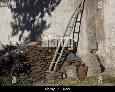 Holztreppe gegen einen weißen Lehm Wand lehnt, die Rückseite der Wand Brennholz ist, an der Wand gibt es einen Schatten von einem Baum, Sommer im himalay Stockfoto