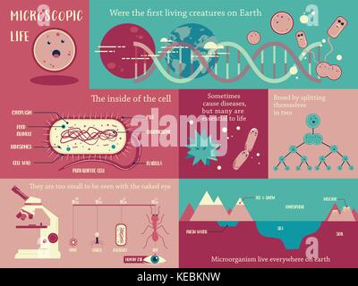 Mikroorganismen leben Infografik illustration Vektor Stock Vektor