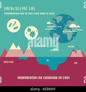 Mikroorganismen leben Infografik illustration Vektor Stock Vektor