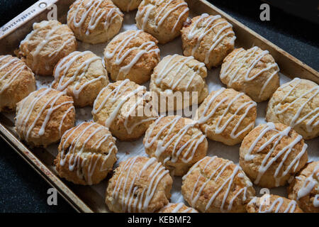 Frisch gebackene Scones mit beträufelt Vereisung Stockfoto