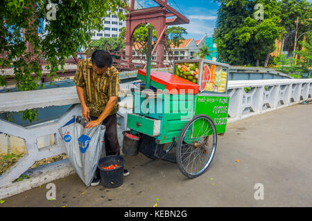 Jakarta, Indonesien - 3. März, 2017: lokale Mann stand neben seinem Small Business Trolley, Verkauf von Obst in der Straße Stockfoto