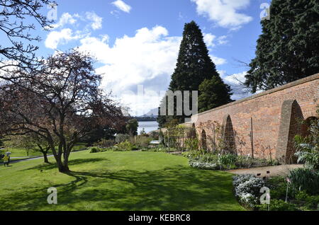 Der botanische Garten von Hobart, Tasmanien, Australien Stockfoto