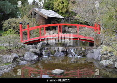 Der japanische Garten im Botanischen Garten von Hobart, Tasmanien, Australien Stockfoto