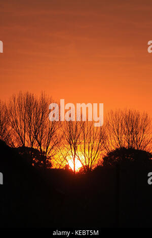 Ashford, Kent, Großbritannien. 19. Oktober, 2017. UK Wetter: schönen ruhigen Bedingungen wie die Morgenröte bricht mit einigen wunderschönen roten und orangen Farben. Foto: Paul Lawrenson/Alamy leben Nachrichten Stockfoto