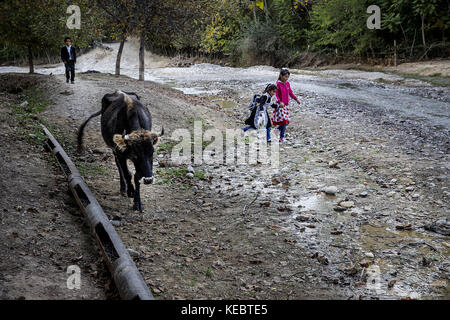 Beshkent, Kirgisistan. Oktober 2016. Kinder, die von der Schule zurückkehren, müssen einen Fluss überqueren, der auch die Quelle von Haushaltswasser in Beshkent, Kirgisistan, ist. Das Wasser ist anfällig für Verunreinigungen durch Müll und Bakterien, die Hepatitis und andere durch Wasser übertragene Krankheiten verursachen. In Dörfern in Kirgisistan (Zentralasien) sind antiquierte Wasserversorgungssysteme und -Infrastrukturen die Ursache für gesundheitliche Probleme wie Hepatitis und gastrointestinale Erkrankungen, insbesondere bei Kindern. Quelle: Jodi Hilton/SOPA/ZUMA Wire/Alamy Live News Stockfoto