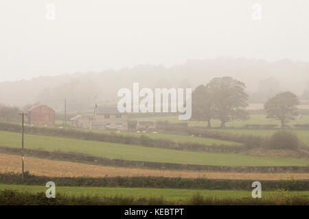 Flintshire, Wales, UK. 19 Okt, 2017. UK Wetter. Ein Nebel oder neblig Start für viele heute mit den Perspektiven der Sturm Brian, eine andere benannte Sturm für das Wochenende für North Wales. Bauernhaus und landwirtschaftliche Flächen im Morgennebel in den ländlichen Dorf Rhes-y-Cae, Flinthsire, Wales Credit: DGDImages/Alamy leben Nachrichten Stockfoto