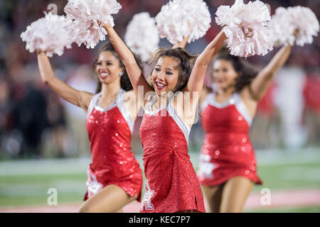 Houston, TX, USA. 19 Okt, 2017. Die Cougar Puppen tanzen Team führt im 4. Quartal eine NCAA Football Spiel zwischen der Memphis Tigers und der Universität von Houston Cougars bei tdecu Stadion in Houston, TX. Memphis gewann das Spiel 42-38. Trask Smith/CSM/Alamy leben Nachrichten Stockfoto