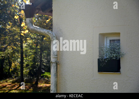 Alte Fenster mit Fenster, und Spider Net in der Wasserleitung Stockfoto